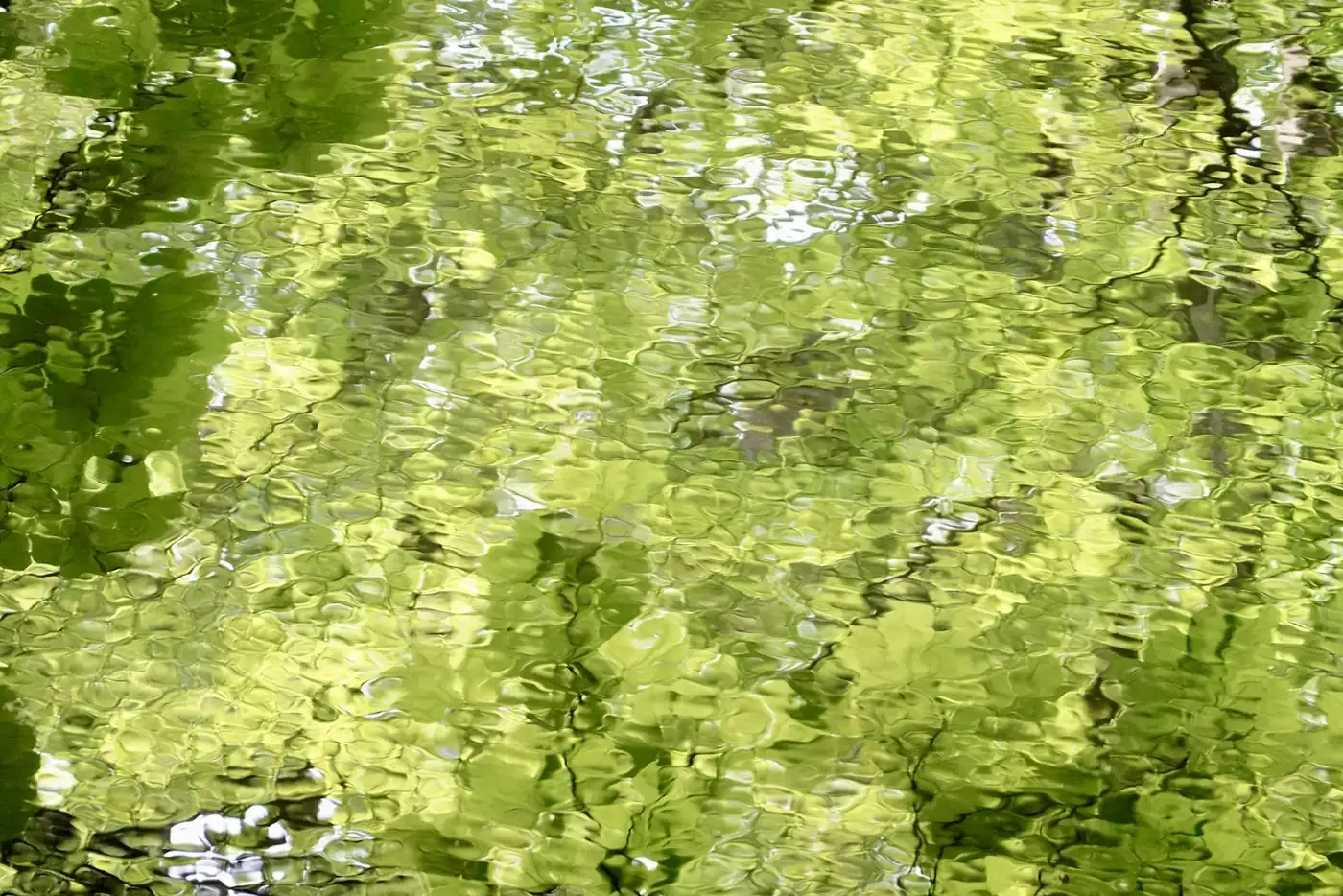 Eau calme et lumière douce évoquant la détente